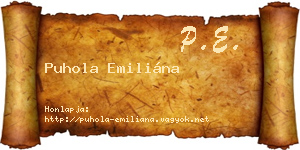Puhola Emiliána névjegykártya